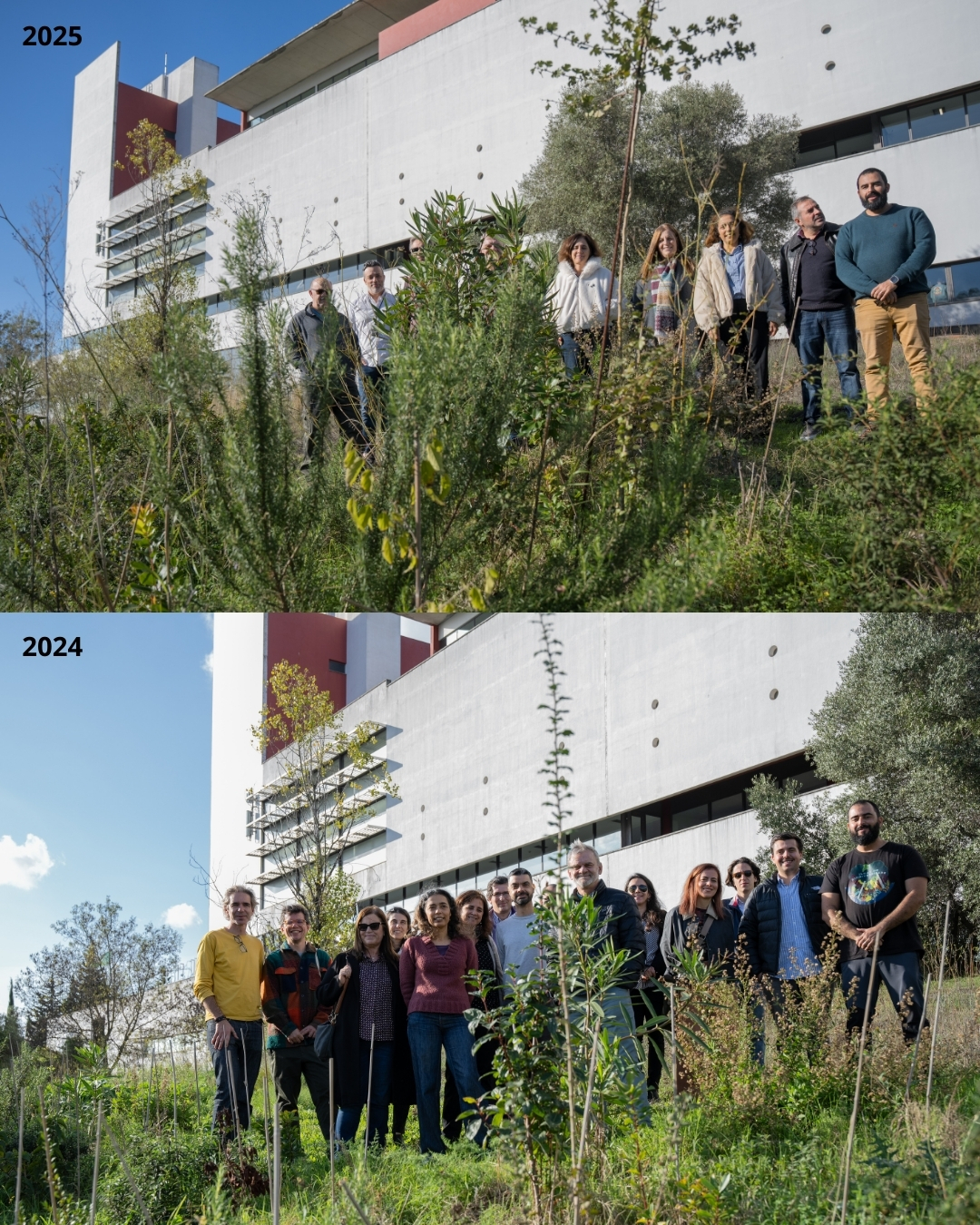 ESCS promove micro florestas urbanas como exemplo de sustentabilidade