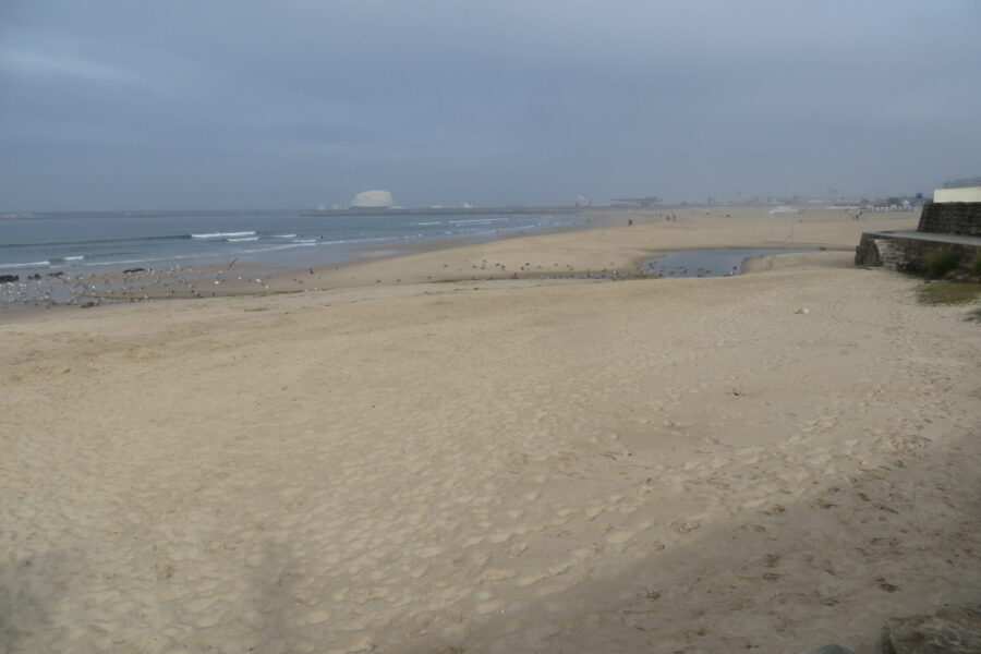Praia de Matosinhos: um perigo “invisível” para a Saúde Pública