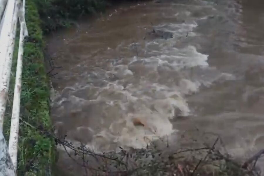 Tempestades em Portugal: A crise silenciosa dos nossos rios