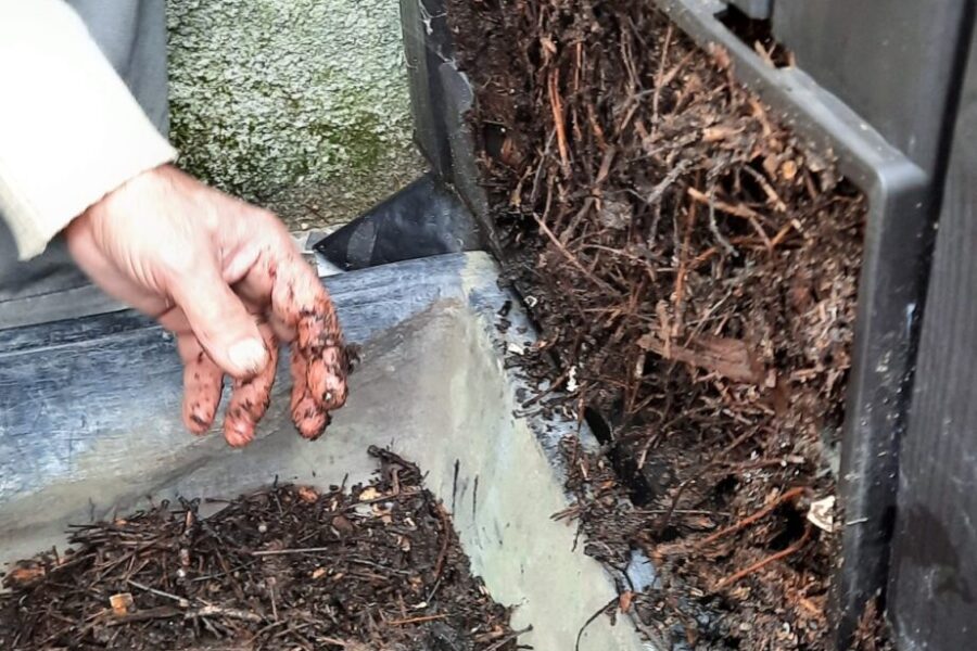 Restos que se transformam em sustento