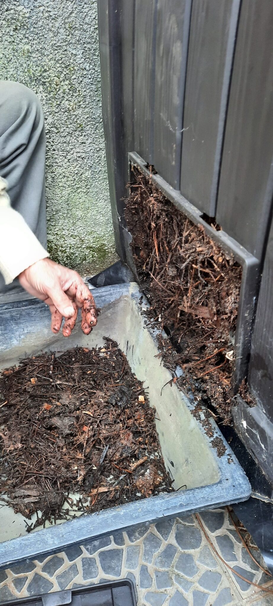 Restos que se transformam em sustento