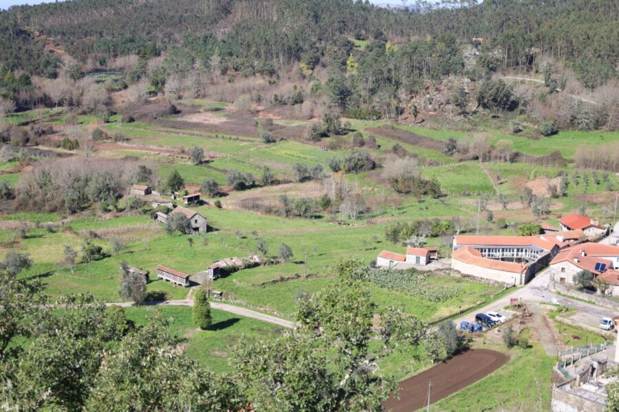 A amizade ensina a preservar