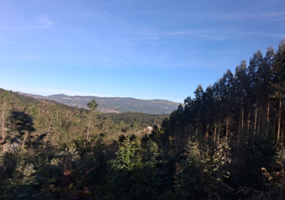 A mudança das paisagens verdes de Macieira de Alcôba