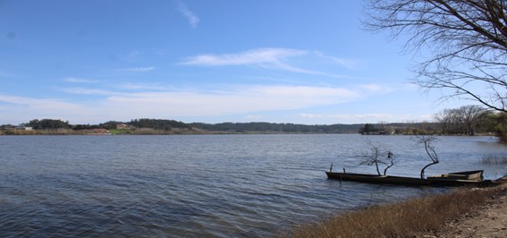 Entre jacintos e as alterações climáticas: o futuro da Lagoa da Pateira de Fermentelos