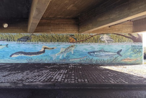 Ver e sentir permite compreender e agir: a missão do Centro de Interpretação do Rio