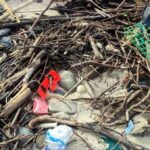 Depois da Tempestade, o Plástico,  as cores da nossa negligência