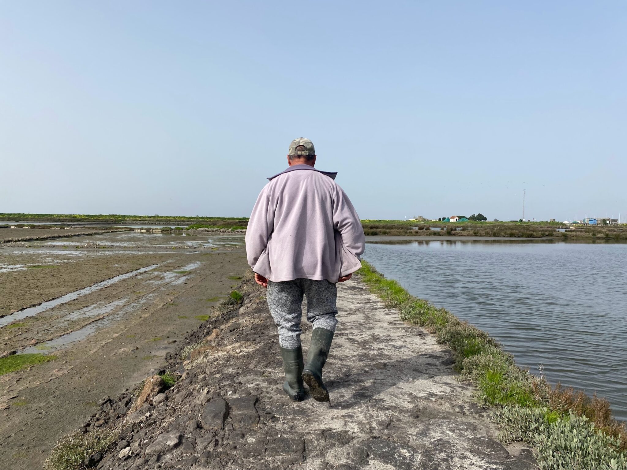 Raízes no Sal, olhos no futuro