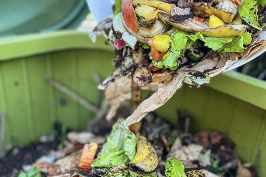 A New Life for Waste