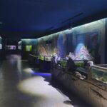 Aquário Vasco da Gama