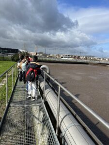 A seguir, a água passa por uma fase muito importante, onde entram bactérias que “ajudam a eliminar a sujidade que ainda lá está. Depois disso, a água volta a passar por tanques para deixar a água ainda mais limpa.