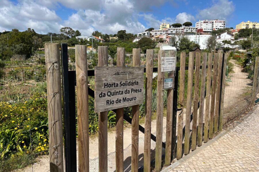 Community-based and shared gardens: does the future of small-scale agriculture lie in large suburban centers like Sintra?
