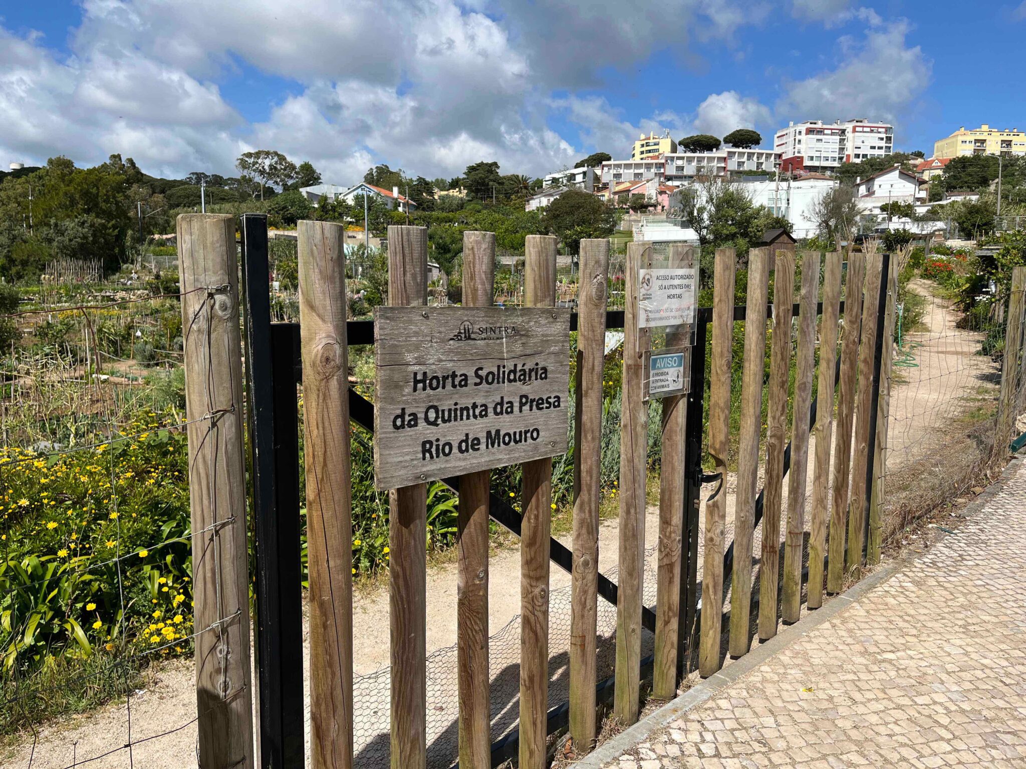 Community-based and shared gardens: does the future of small-scale agriculture lie in large suburban centers like Sintra?