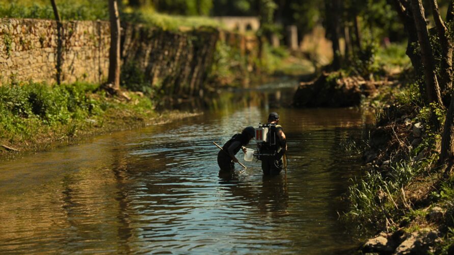 The river flow of conservation