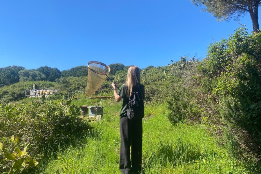 Serra de Carnaxide, um Refúgio de Vida Entre Espécies Nativas e Invasoras