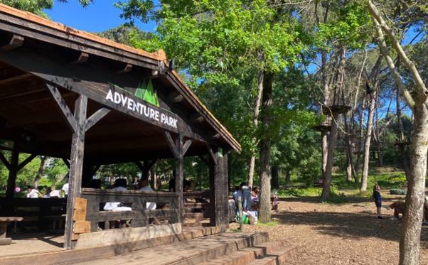 Eco-Aventura ou Apenas Negócio? O Equilíbrio Frágil do Adventure Park