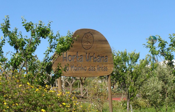 Horta do Moinho das Antas: poderá a estética urbana conviver com os desafios da agricultura biológica?