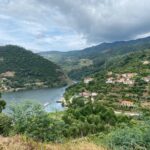 Trilhos: espaços priveligeados para explorar, conhecer e conservar a biodiversidade
