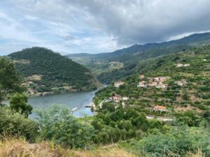 m pleno coração de Resende, onde as encostas de São João de Fontoura se desnudam sobre o horizonte, a Rota dos Cerejais (PR1 RSD) é muito mais do que um simples trilho: é um autêntico laboratório da biodiversidade mediterrânica. 