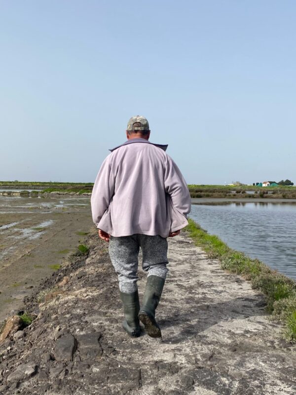 Raízes no Sal, olhos no futuro