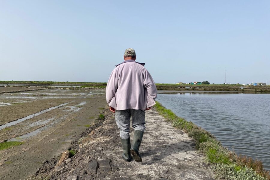 Raízes no Sal, olhos no futuro