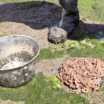 A treasure hidden in mud