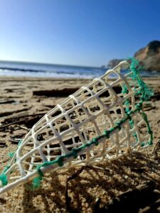 Restos de armadilhas e redes mostram como o lixo permanece no oceano durante anos.