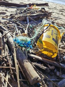 Resíduos trazidos pela Tempestade Kristin acumulados na Praia da Nazaré. 