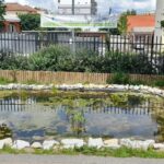 A história do charco em 4K!