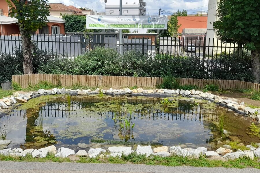 A história do charco em 4K!