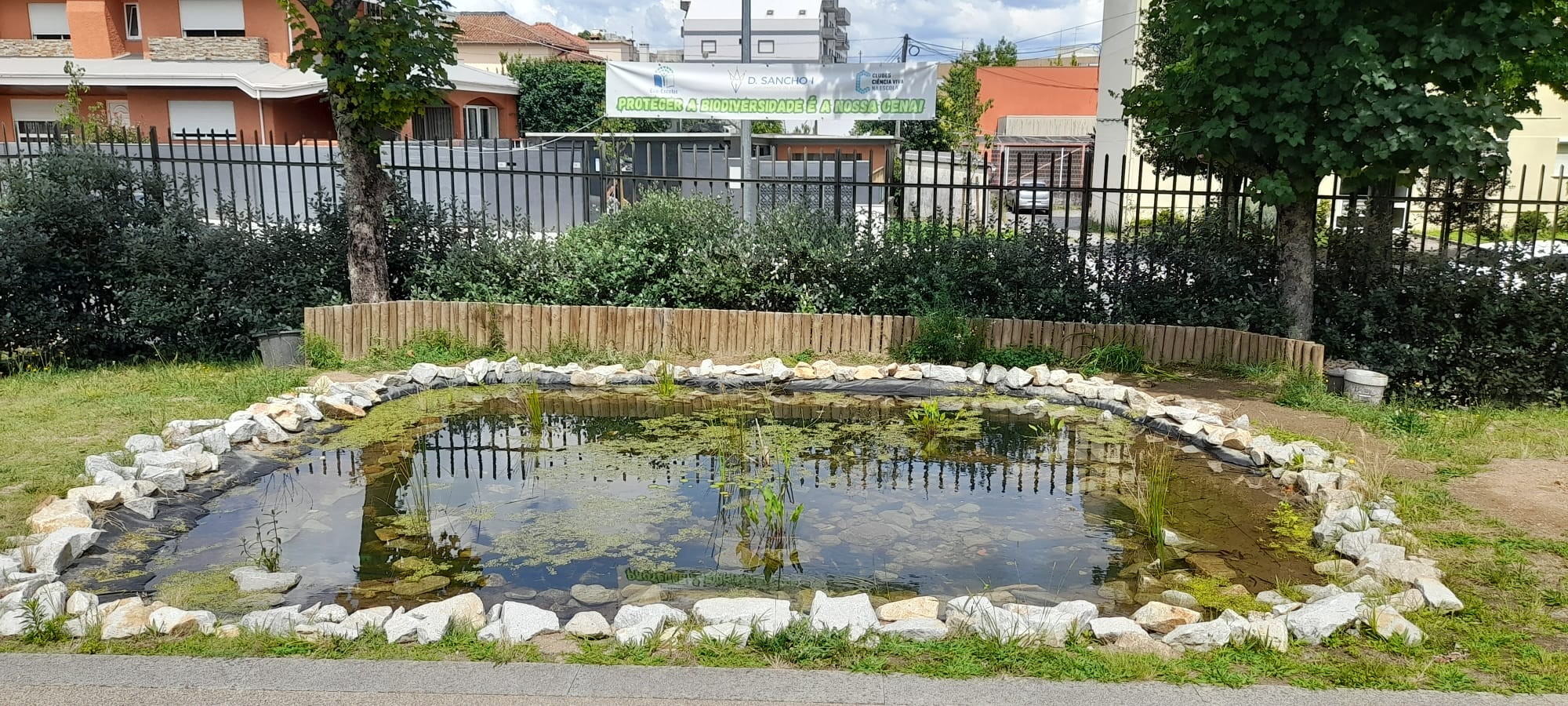 A história do charco em 4K!