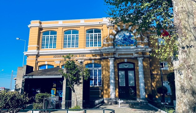 Uma viagem pelo mundo marinho no Aquário Vasco da Gama