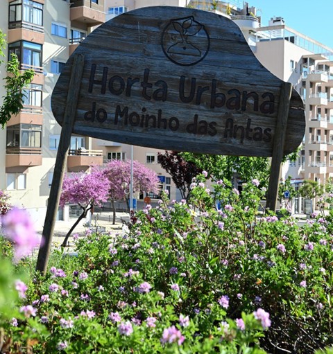The urban gardens: Oeiras’ way of fostering a sustainable community