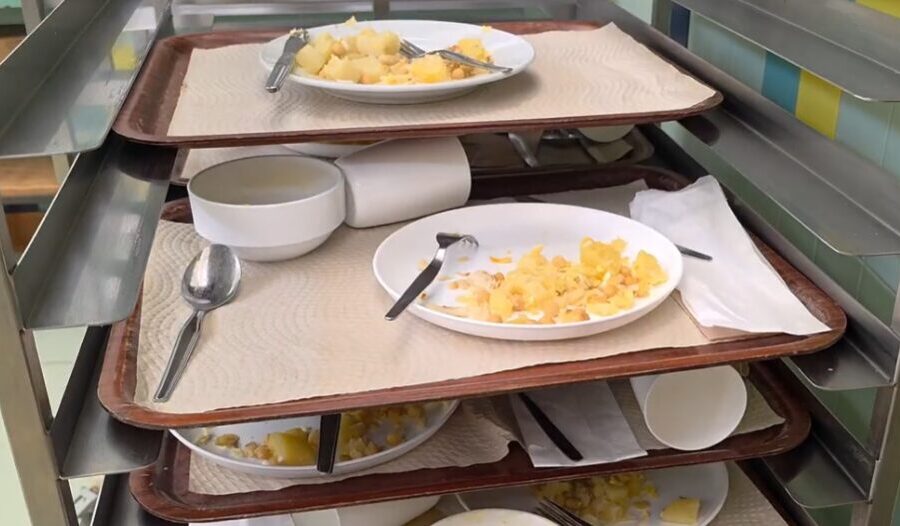 Desperdício Alimentar: Do Lixo à Solução
