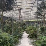 O Pulmão Secreto de Lisboa