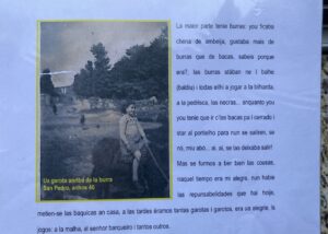 Excerto do Livro de Albertina São Pedro