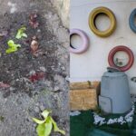 Horta inclusiva