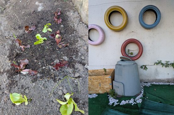 Horta inclusiva
