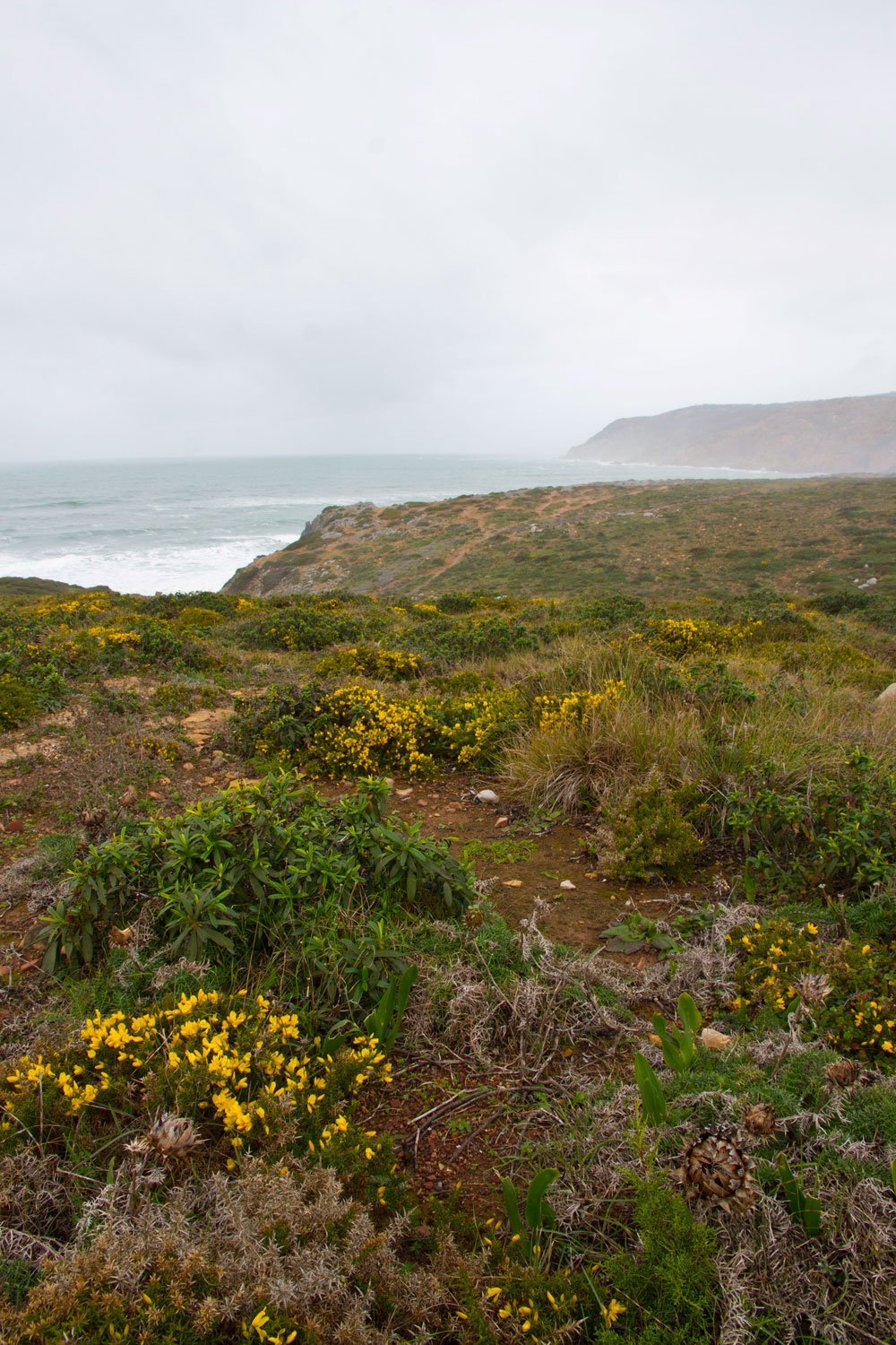 Vista parcial da paisagem do Litoral junto à Praia do Abano, com o Cabo da Roca ao fundo.