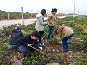 Alunos do Valsassina e técnicos da Cascais Ambiente numa ação de plantação de plantas juvenis.